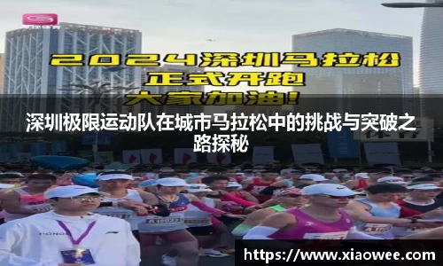 DG视讯登录入口